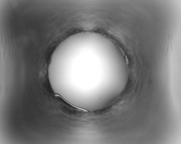 X0000088681349200706211901