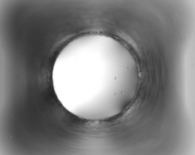 X0000088681352200706211901