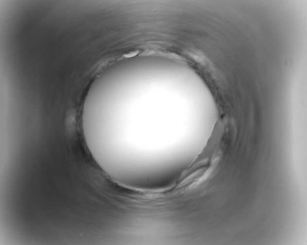 X0000088681353200706211901