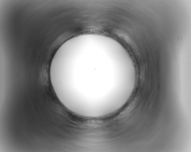 X0000088681354200706211901