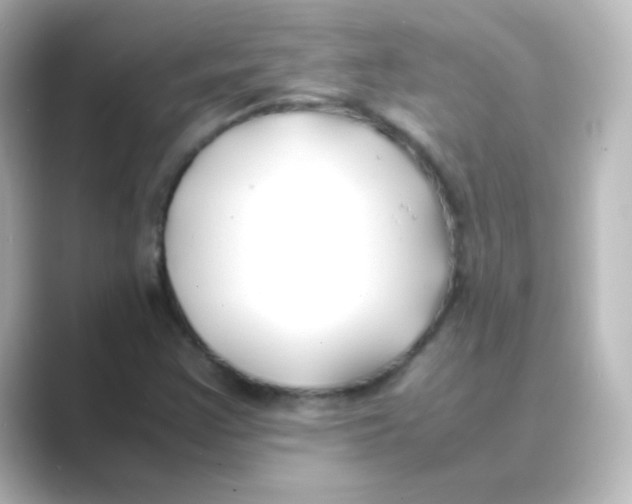 X0000088681355200706211901