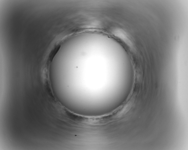 X0000088681357200706211901