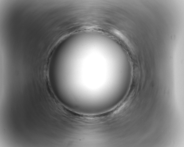 X0000088681361200706211901