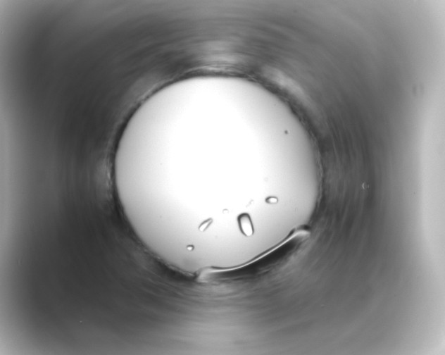 X0000088681362200706211901