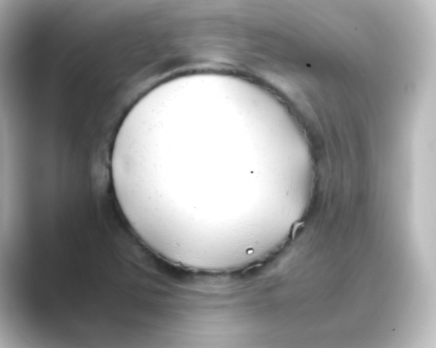 X0000088681363200706211901