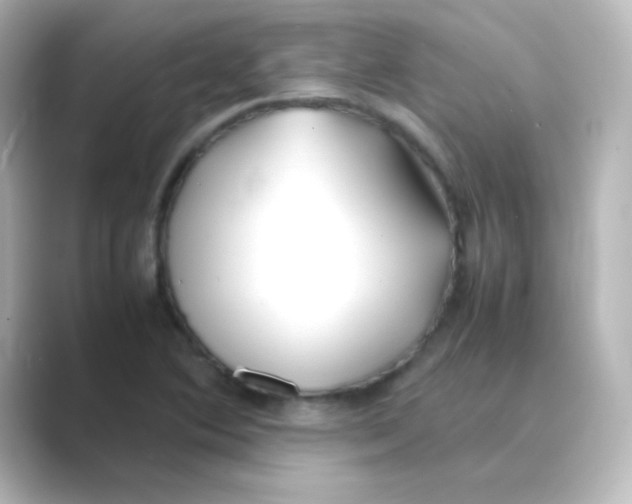 X0000088681364200706211901