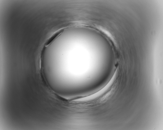 X0000088681365200706211901