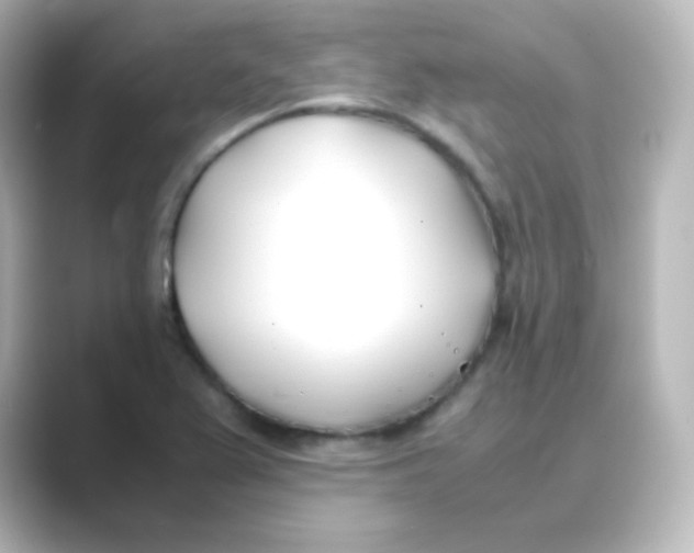 X0000088681367200706211901