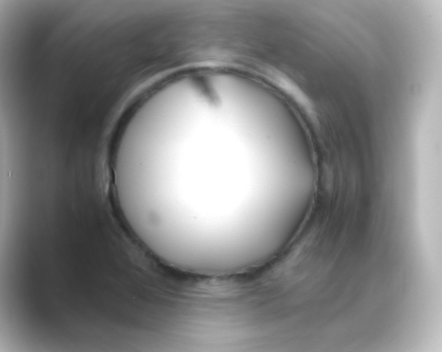 X0000088681368200706211901