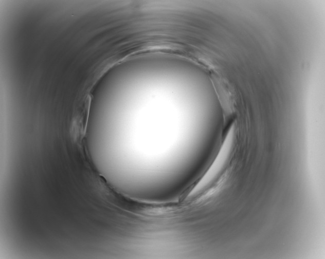 X0000088681369200706211901