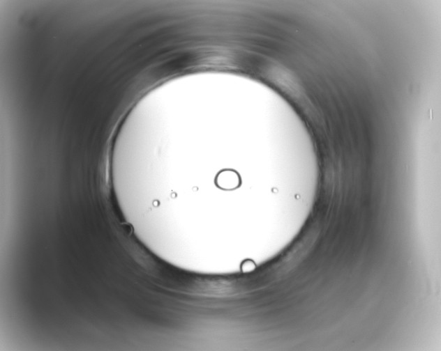 X0000088681370200706211901
