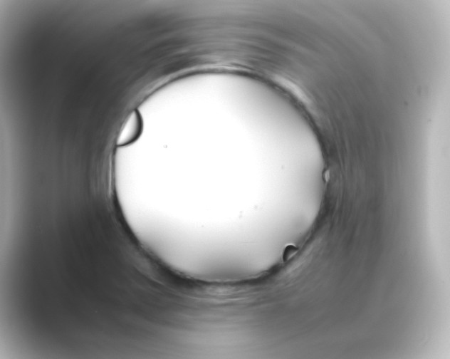 X0000088681371200706211901