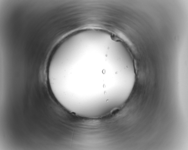 X0000088681372200706211901