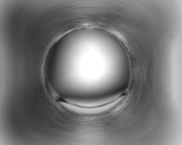X0000088681373200706211901