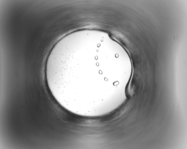 X0000088681375200706211901