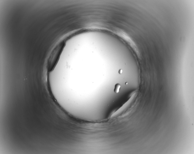 X0000088681376200706211901
