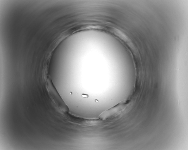 X0000088681377200706211901