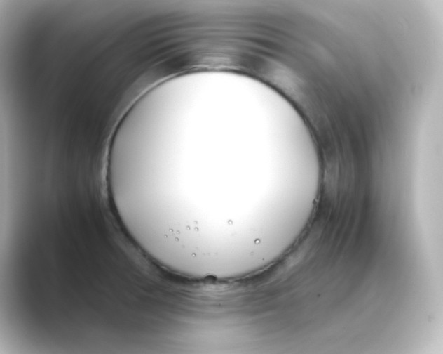 X0000088681378200706211901