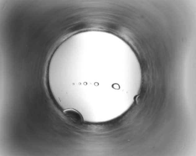 X0000088681379200706211901