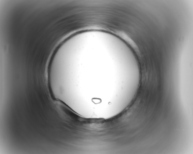 X0000088681380200706211901