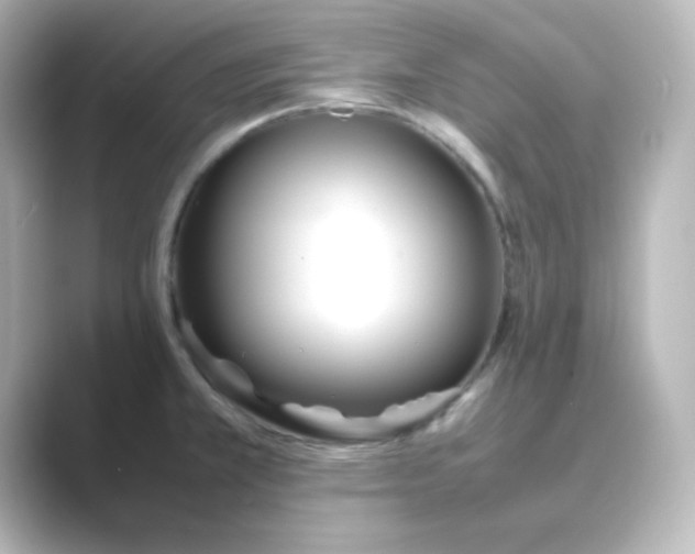 X0000088681381200706211901