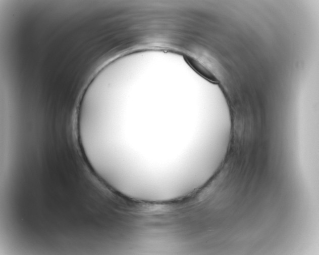 X0000088681382200706211901