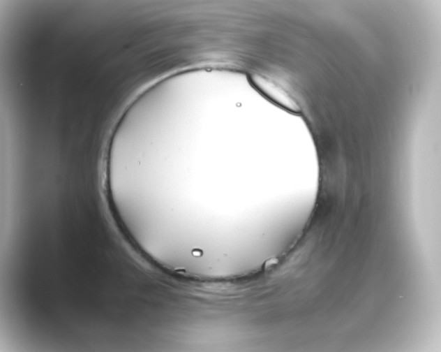 X0000088681383200706211901