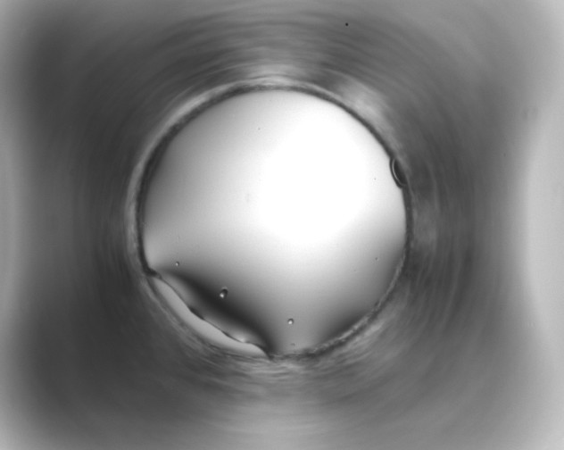 X0000088681384200706211901