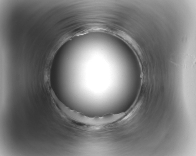 X0000088681385200706211901