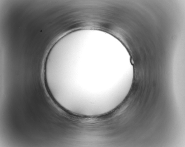 X0000088681387200706211901