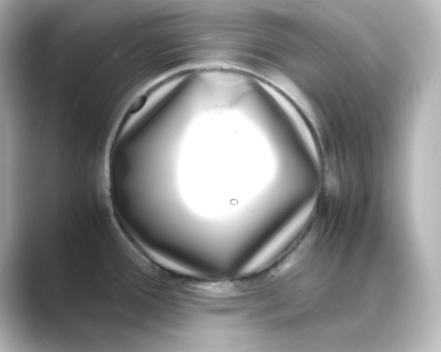 X0000088681388200706211901