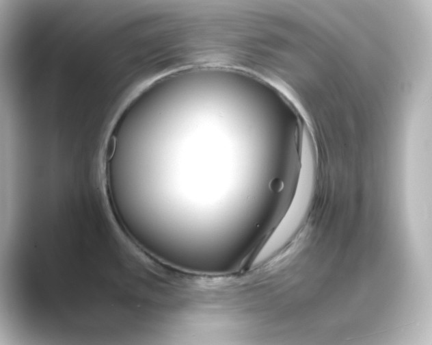 X0000088681389200706211901