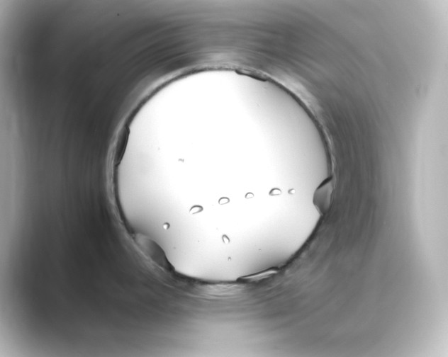X0000088681392200706211901