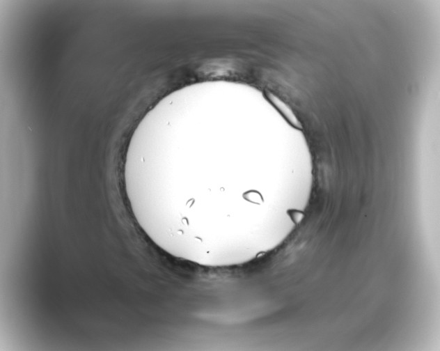X0000088681393200706211900