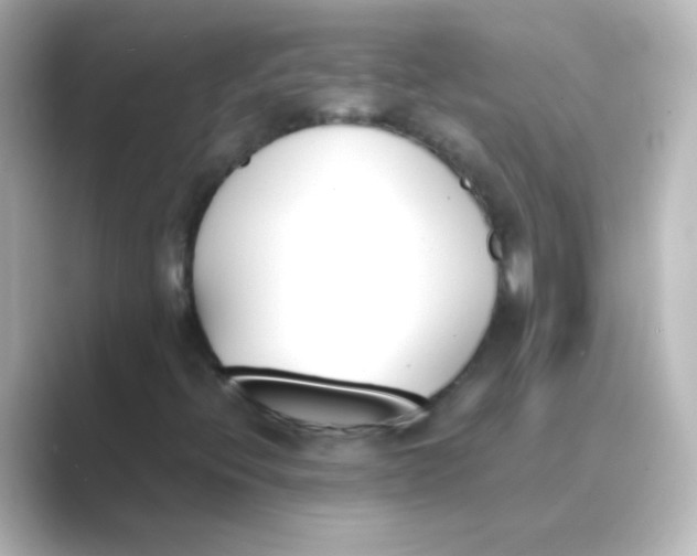 X0000088681396200706211900