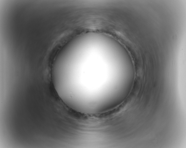 X0000088681398200706211900