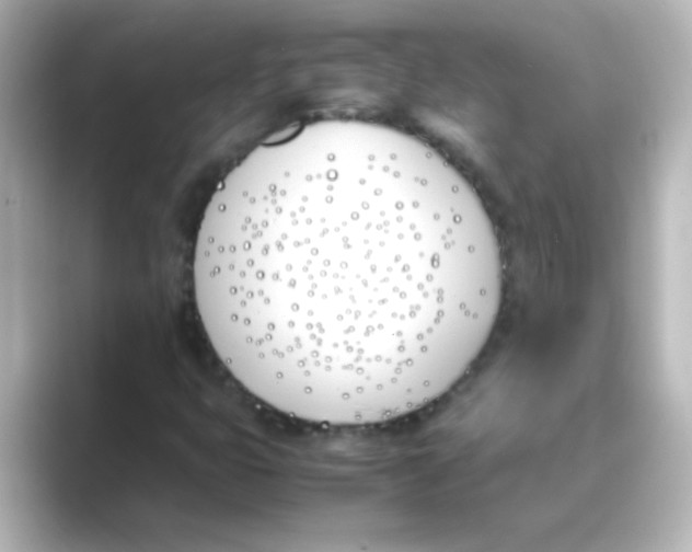 X0000088681399200706211900