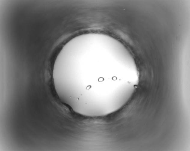 X0000088681400200706211900