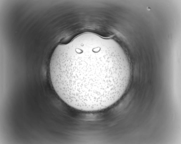 X0000088681401200706211900