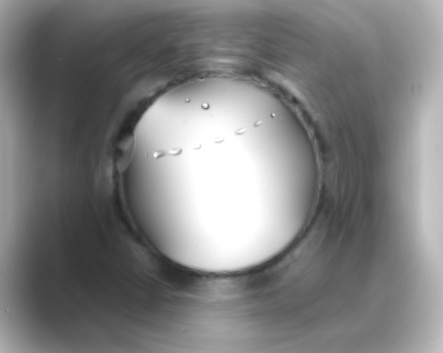 X0000088681402200706211900