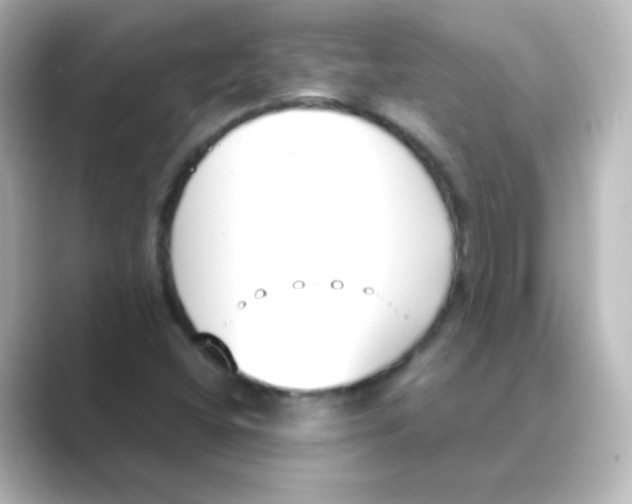X0000088681404200706211900