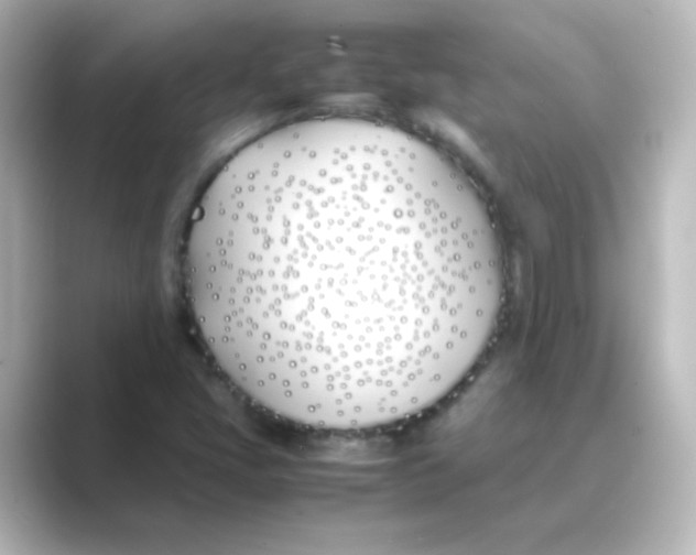 X0000088681405200706211900