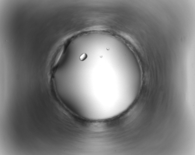 X0000088681406200706211901