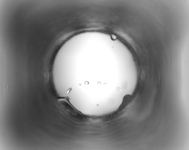 X0000088681407200706211901