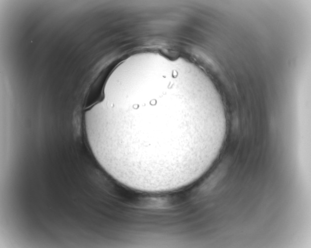 X0000088681409200706211901