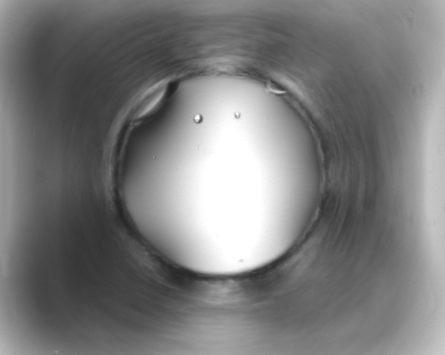 X0000088681410200706211901