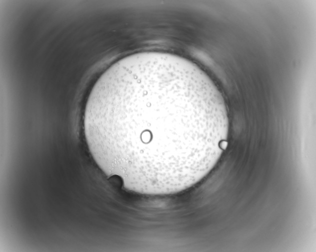 X0000088681411200706211901
