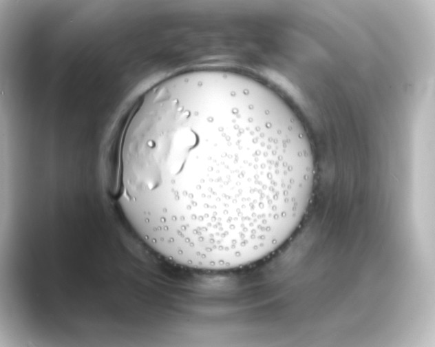 X0000088681413200706211901