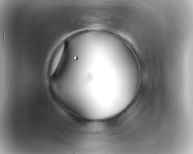 X0000088681414200706211901