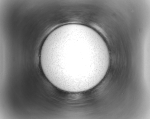 X0000088681415200706211901